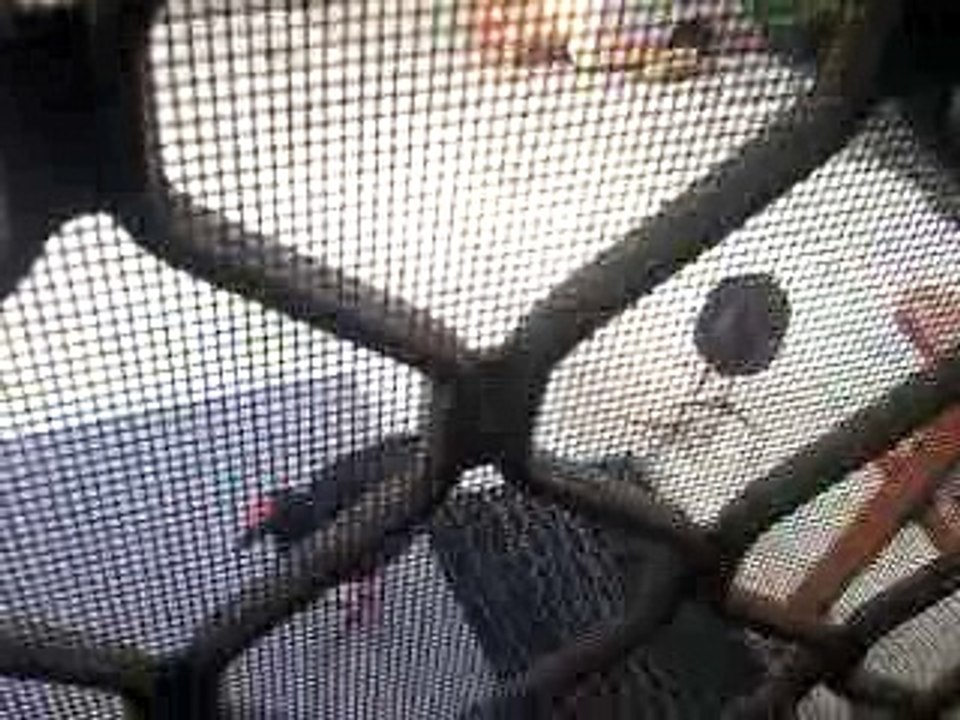 Gezza's Stream: 180325 CuteQueue SweetyPicklesAspen