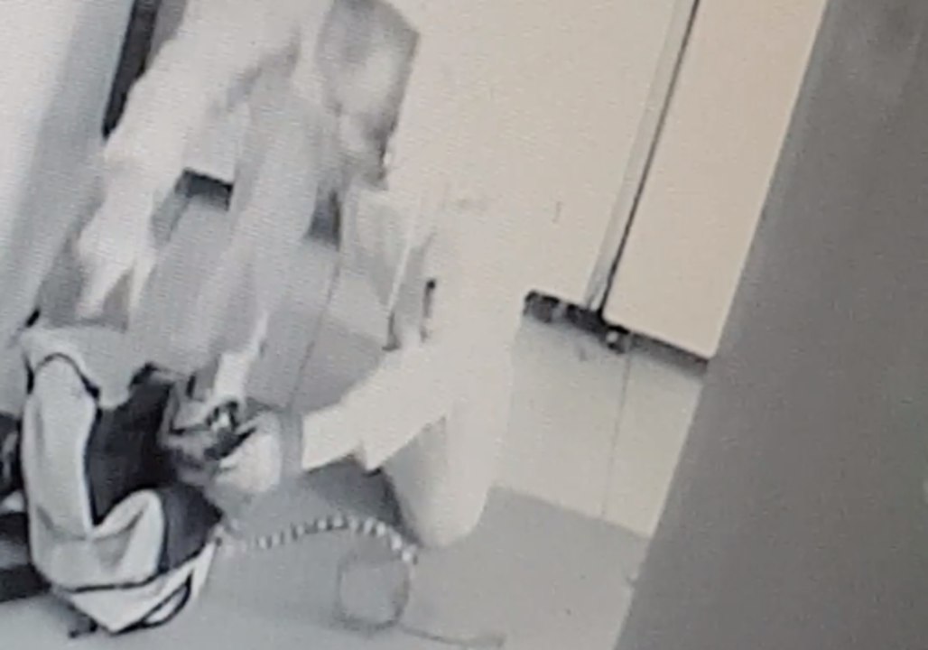 Thief Clumsily Stuffs Snakes Into Duffel Bag