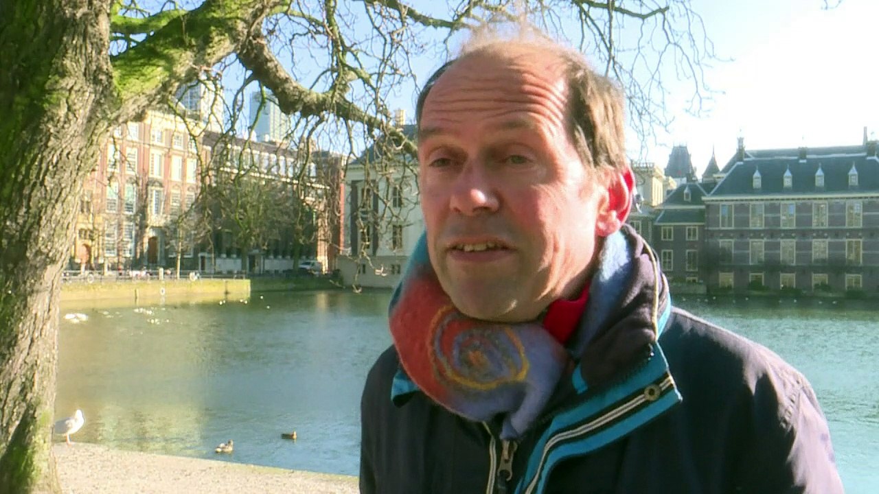 Exotischer Halsbandsittich in den Niederlanden nicht willkommen