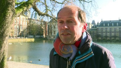 Exotischer Halsbandsittich in den Niederlanden nicht willkommen