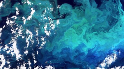 #8 Sur le retour, les tourbillons