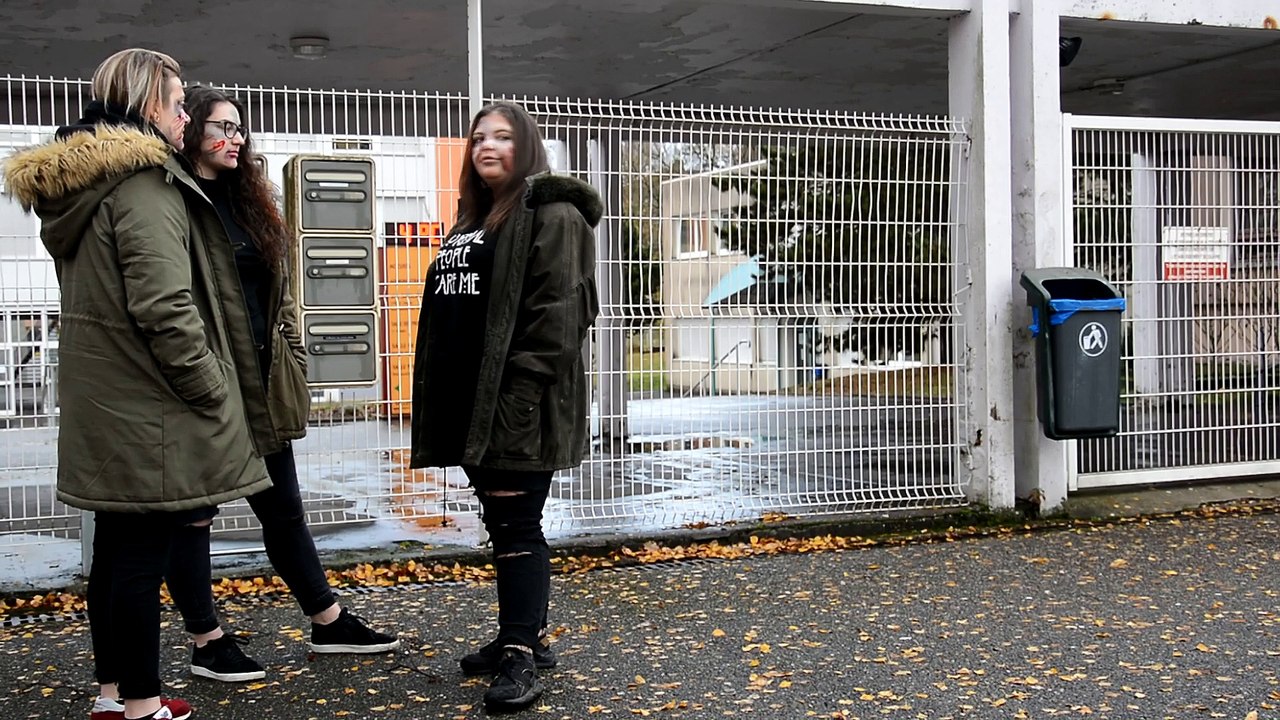 Prix « Non au harcèlement » 2018 - Lycée Félix Mayer de Creutzwald (57)