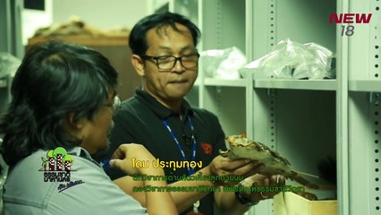 พิพิธภัณฑ์ธรรมชาติวิทยา คลังความรู้ประเทศไทย | EP.185/2 | ธรรมชาติมาหานคร | 25 มี.ค. 61 | NEW18