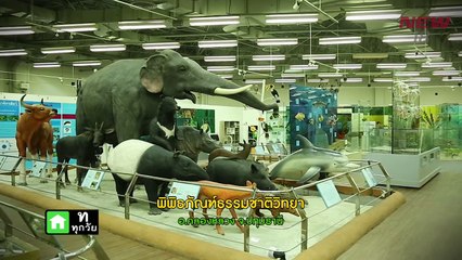 พิพิธภัณฑ์ธรรมชาติวิทยา คลังความรู้ประเทศไทย | EP.185/3 | ธรรมชาติมาหานคร | 25 มี.ค. 61 | NEW18