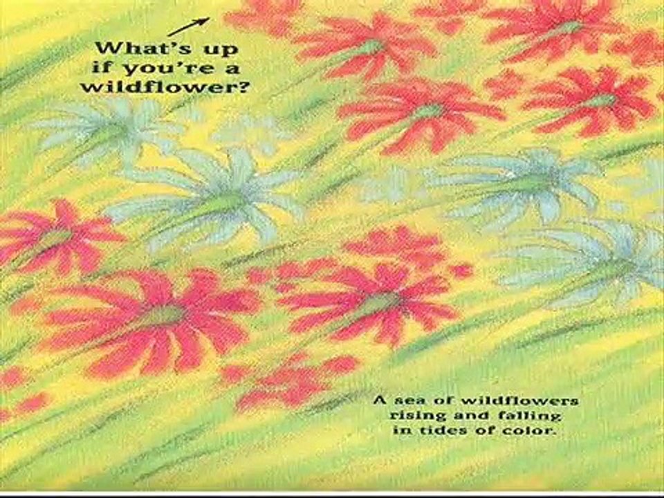 Whats Up, Whats Down