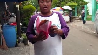 Jakarta Street Food 388 5 Quail Eggs Lumpia Lumpia Telor Puyuh BR TiVi 2368