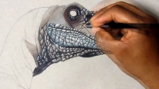 Drawing Velociraptor - Jurassic world | Realistic Drawing