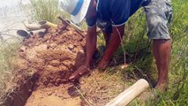 Wow! A Man Using Bamboo& Water Pipe Catch a Lot of Fish - Deep Hole Trap