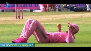 Cricket Funny Videos - Must Watch Funny Moments In Cricket