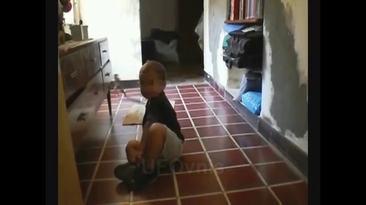 5 Aterradoras Criaturas encontradas dentro de Casa