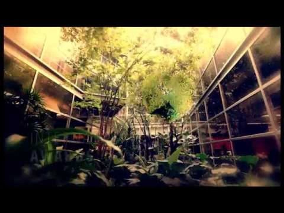 Workpoint Showreel
