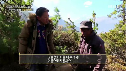 세계테마기행 - 히말라야의 동물들, 네팔에 반하다 2부- 좁교를 아십니까?_#001