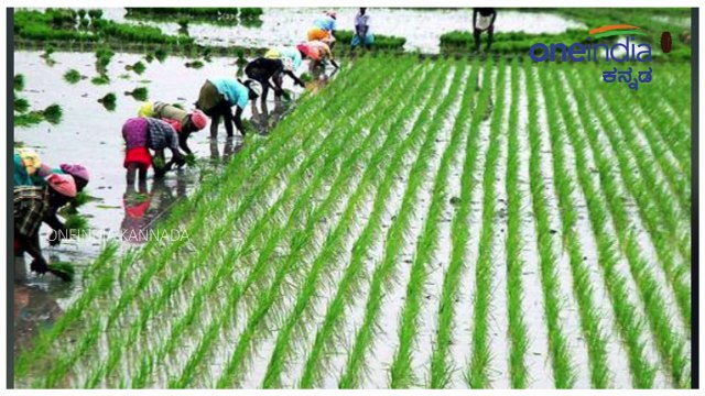 ಕಾಂಗ್ರೆಸ್ ಸರ್ಕಾರದಡಿ ರೈತರು ಸುರಕ್ಷಿತವಿಲ್ಲ, ಎಂದ ಅಮಿತ್ ಶಾ | Oneindia Kannada