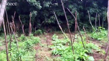 Piyalepaşa Bostanı’nı Topçu Kışlası’nın mimarı ‘rehabilite’ edecek