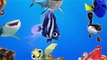 LEARN SEA ANIMALS & WATER ANIMALS NAMES AND SOUND REAL OCEAN SOUND ANIMAL FOR KIDS VIDEO PART 5