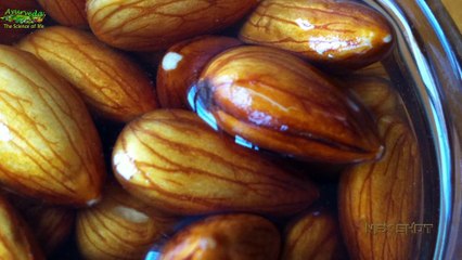Why Eat Almonds क्यों खाते हैं भीगे हुए बादाम  Ayurveda   The Science Of life