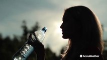 Plastic water bottles could be loaded with microplastics