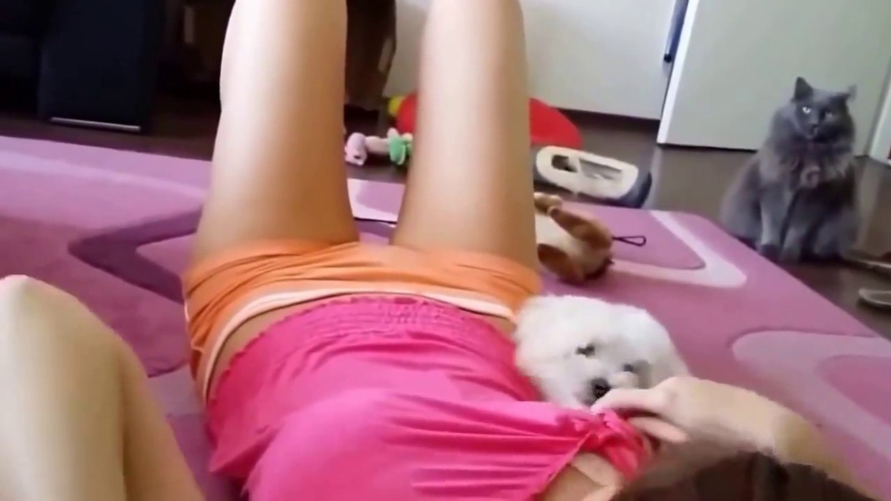 Best of Funny Fail Compilation Series #020