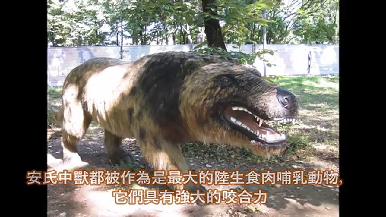 10個可怕的滅絕動物，人類會很慶幸牠們已經絕種