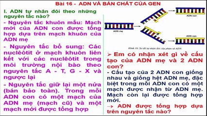 Bai giang Sinh hoc 9 - Bai 16 - ADN va ban chat cua gen