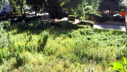 How to make a Paper Airplane - BEST Paper Planes in the World - Paper Airplanes that FLY FAR . Grey