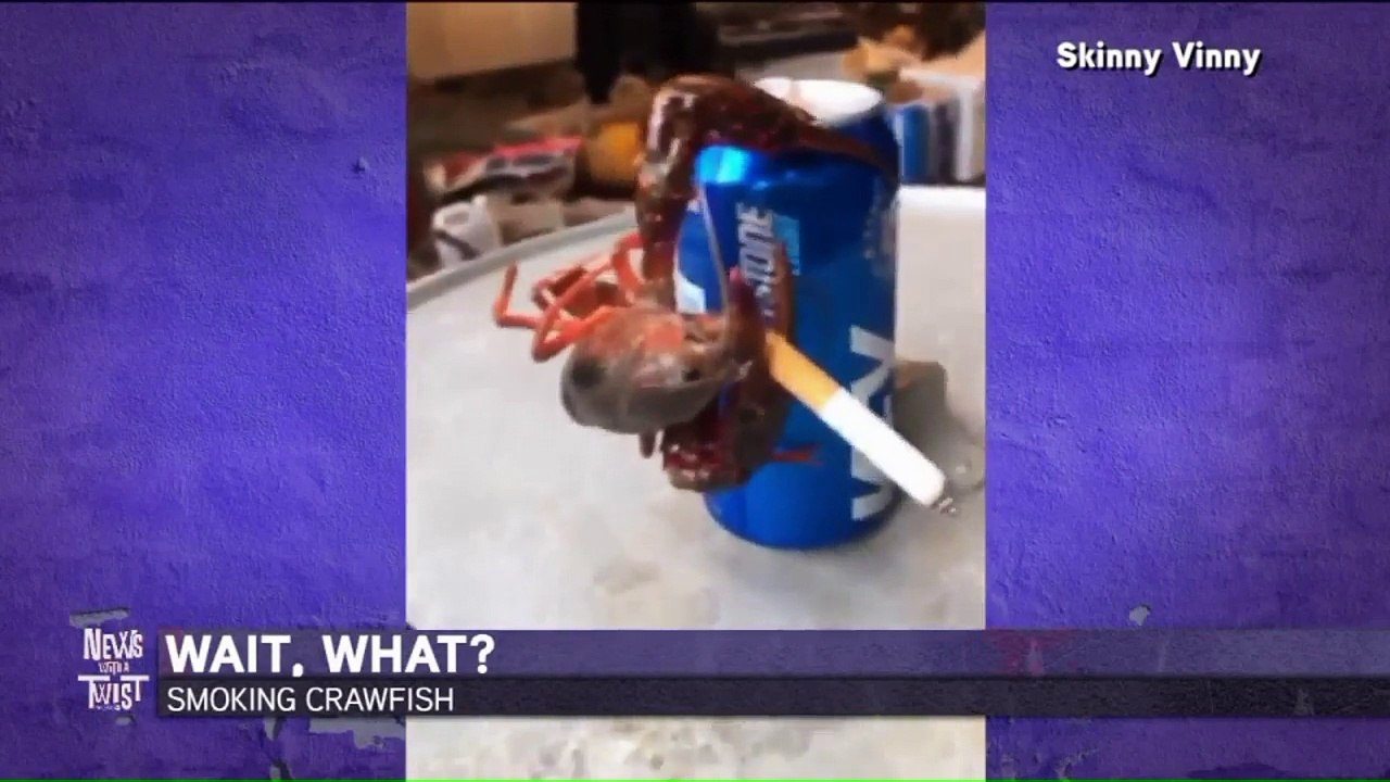Video Shows Crawfish Smoking a Cigarette