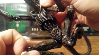 NECA aliens 3/ dog alien ion figure (HD)