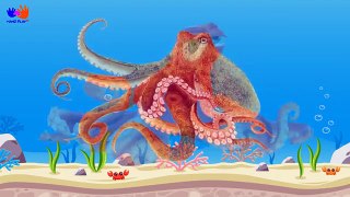 Sea Animals For Kids, Animals Sea Names and Learn Number AMAZING | HandplayTV for kids