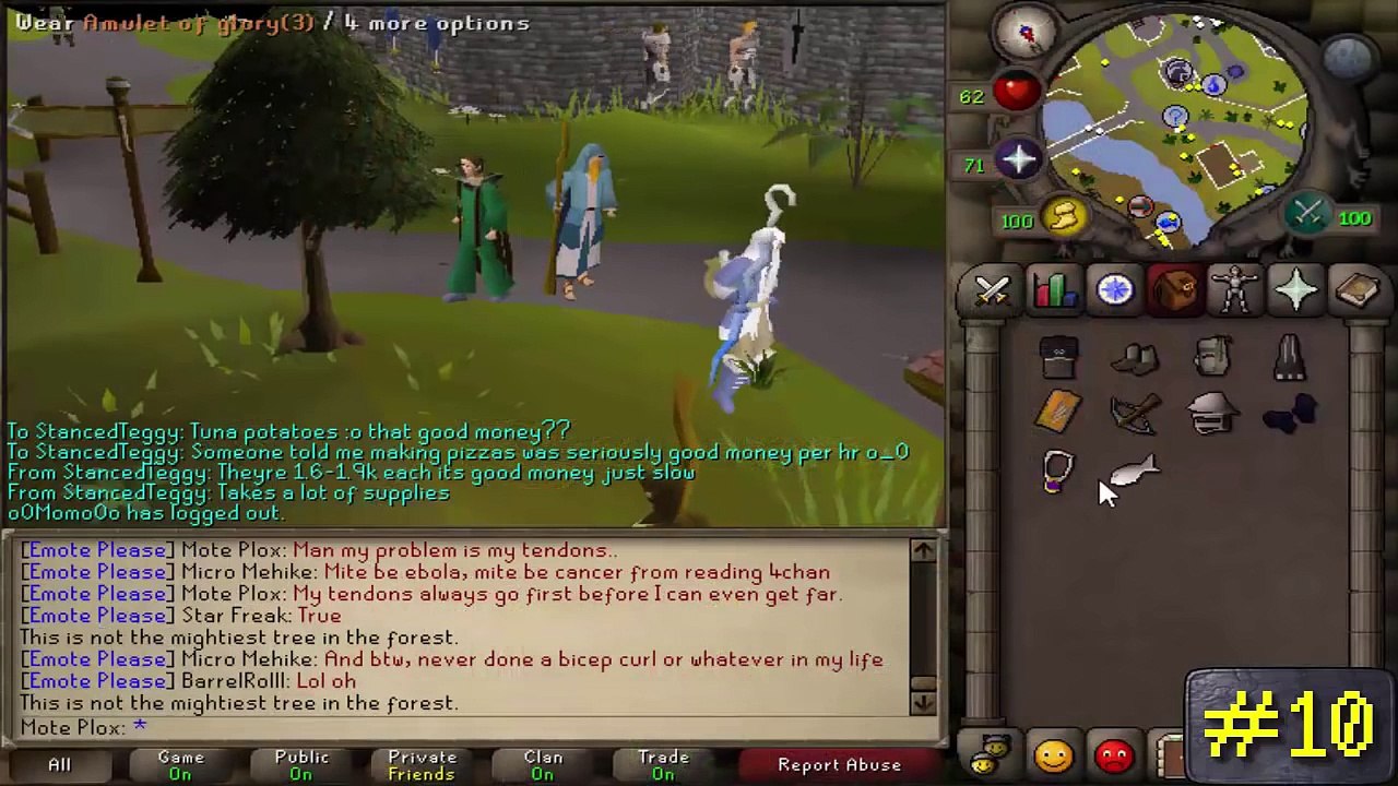 Top 10 RuneScape Fs #10