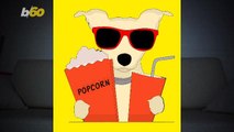 Check Out These Theaters Where You Can Bring Your Dog to the Movies