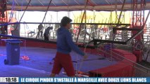 Le cirque Pinder s'installe à Marseille avec un tout nouveau spectacle