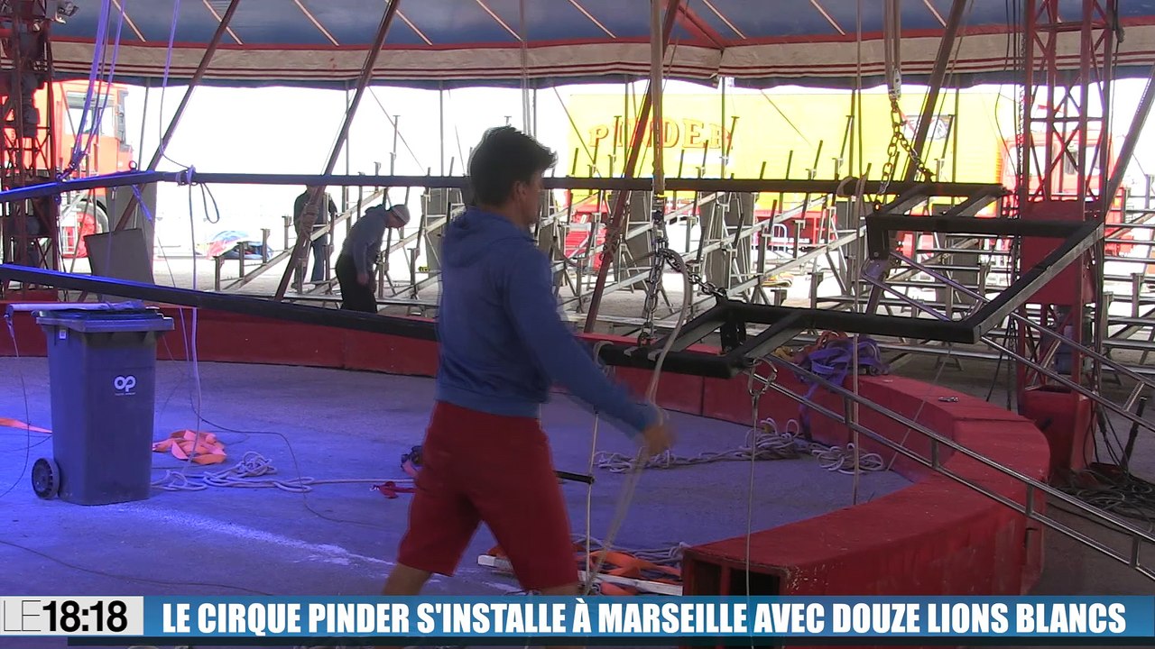 Le cirque Pinder s'installe à Marseille avec un tout nouveau spectacle