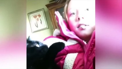 FUNNY ANIMAL -  ANIMALS ARE IDIOTS 1!!!