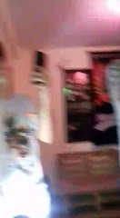 Porque? - Junox - Samia - Mr Yako - Joao. En vivo CONCIERTO DECIBEL