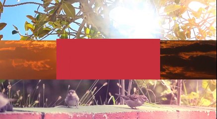 WEATHER: Your latest weather update