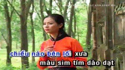 Karaoke Chuyện Người Con Gái Hái Sim Trường Vũ