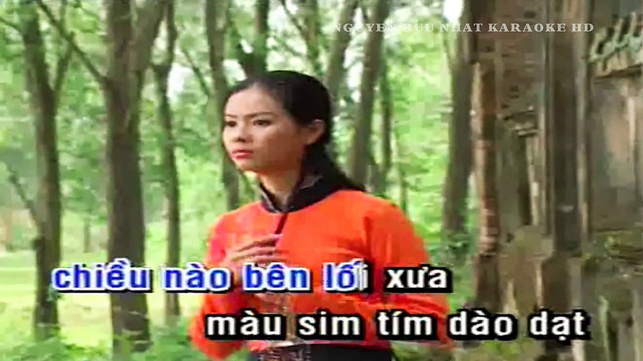 Karaoke Chuyện Người Con Gái Hái Sim Trường Vũ