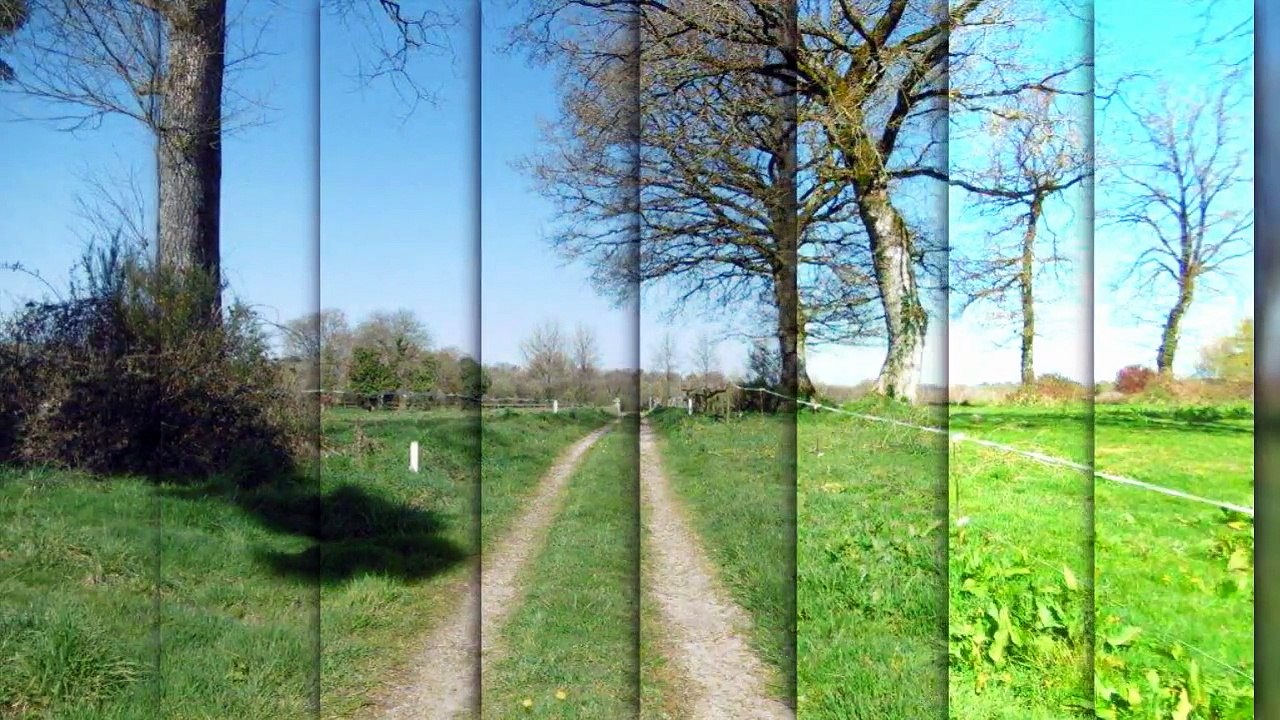 Propriété de caractère sur 8 hectares attenant.