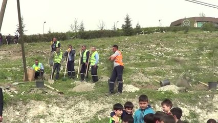 Turhal'da Fidan Dikimi