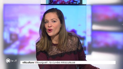 Viticulture/ Bourgueil : la cuvée miraculeuse - 27/03/2018