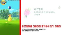 포켓몬고 커브볼 등 핵꿀팁 모음 (★놓치면 후회★) Pokemon go counterattack (PanPaNi)