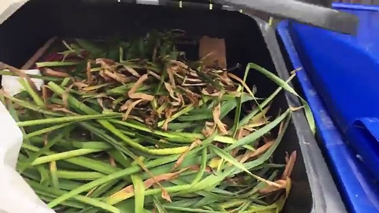 NEW TOY SHOPPING SPREE FREAKOUT! WIFE CAUGHT HUSBAND BEING SNEAKY!