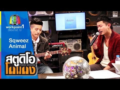 สตูดิโอ โกแกง | Sqweez Animal | 8 ส.ค. 58 Full HD