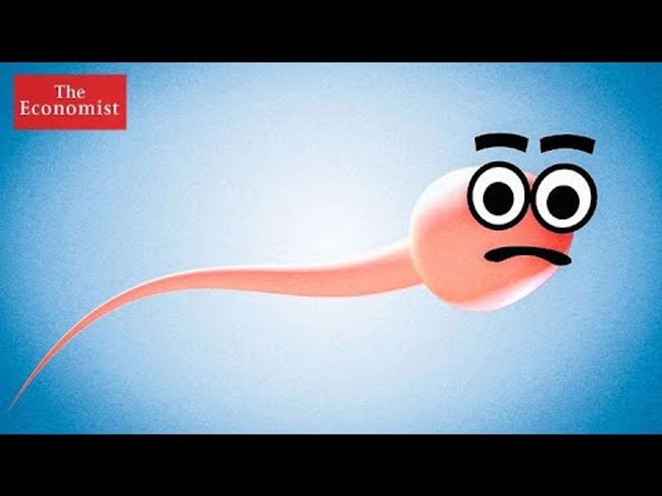 Is male fertility in crisis? | The Economist