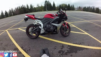 Newest Yammie Noob Crash - Its HORRIBLE This Time | #YouTube #Crash #YammieNoob