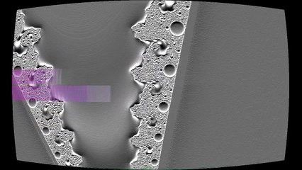 The Horses Are Coming