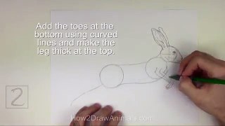 How to Draw a Hare