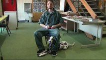 Inmates at Wisconsin Prison Train Puppies to Become Service Dogs