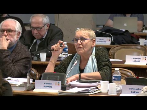 Colette POPARD. Exécution des marchés publics 2017. Session du 26 mars 2018