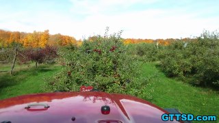 HEY APPLE! Husky goes to the Apple Farm